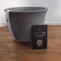 2025年最新】鶴仙園 みやび鉢の人気アイテム - メルカリ