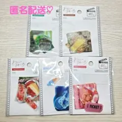 わたしの推し活　フレークタイプ　学校　おうち時間　庭園　海辺　ダイソー