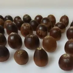 Item thumbnail for item 716ad0ca-eeec-419c-b67b-5fcbdddcf868