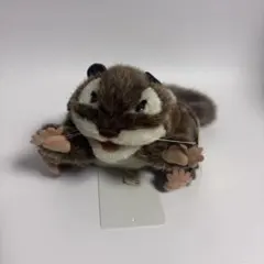 Item thumbnail for item c715c339-8c53-46f7-8a19-097ebc10e154