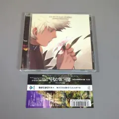 「銀色の髪のアギト」オリジナルサウンドトラック/岩崎琢