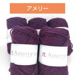 大人気アメリーセット