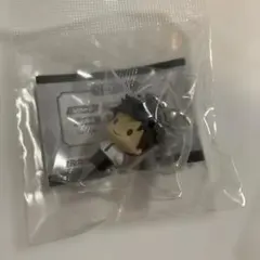 家庭教師ヒットマンREBORN！めじるしアクセサリー 山本武