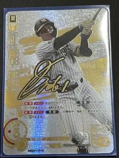 ドリームオーダー