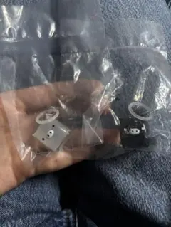 【匿名配送】サンエックスユニバース　マスコットチャーム　2種セット