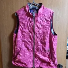 THE NORTH FACE パープルレーベル mountain windベスト