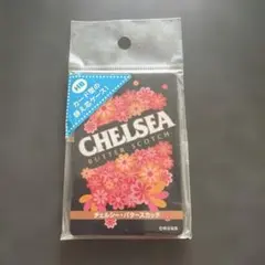 CHELSEA バタースカッチ カード型替芯ケース　平成レトロのサムネイル