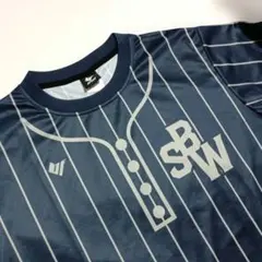 信州ブレイブウォリアーズ