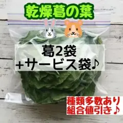 ジュークFAMILYのおやつ】乾燥いちご葉 10g 小動物 うさぎ チンチラ