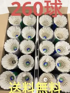中古シャトル1箱 YONEX バドミントンシャトル 10ダースセット - メルカリ