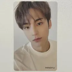 SEVENTEEN ひとりじゃない HMV ミンギュ トレカ