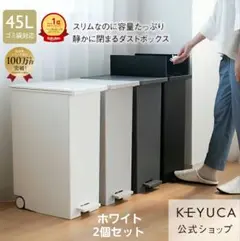 【新品未使用】KEYUCA 45L ダストボックス ライトグレー2個セット 新品未使用】KEYUCA 45L ダストボックス ライトグレー2個セット - メルカリ