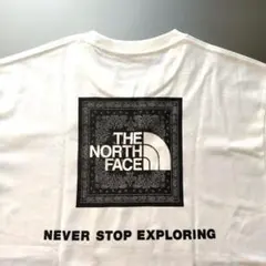 ザノースフェイスT(バンダナスクエアロゴ)【新品未使用タグ　2枚目画像参照】