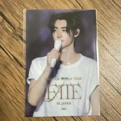 fate japan tour 特典　クリアポストカード　ソンフン