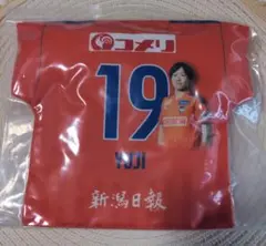 アルビレックス新潟　星雄次選手マッチングデークッション