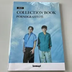 ポルノグラフィティ 2005年 カレンダー＆ポスター - メルカリ