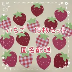 スノードロップ様 リクエスト 2点 まとめ商品