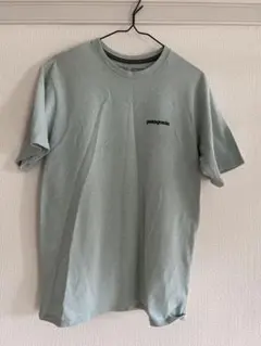 patagonia フィッズ ロイ ホライズンズ レスポンシビリTシャツ xs 
