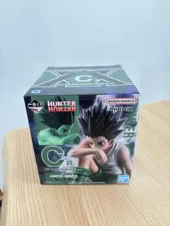 HUNTER HUNTER ゴン C賞　3D MASTERLISE