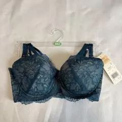 Wing Lesiage ブラジャー E65のサムネイル