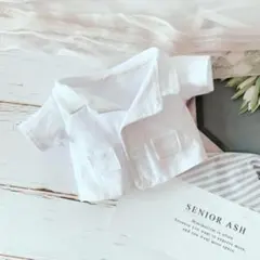 ジャケット 白衣 20cm ぬいぐるみ服 韓国 ぬい服 着ぐるみ 推し活 衣装