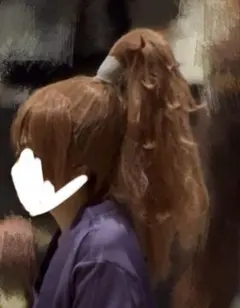 忍たま 鉢屋三郎 不破雷蔵 双忍 コスプレウィッグ アシスト