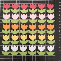 ✩クッキー✩様専用です。