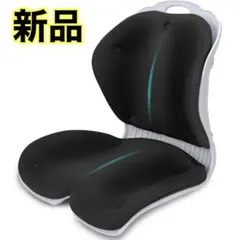EAVY LW ランバーサポート 骨盤サポート 椅子 クッション 5段階角度