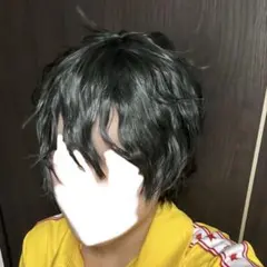 テニプリ 切原赤也 ウィッグ - メルカリ