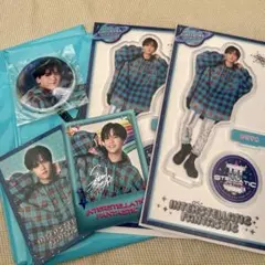 中島颯太 アクスタ フォトカ　 INTERSTELLATIC FANTASTIC