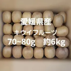 愛媛県産　キウイフルーツ　70~80g　約6kg　農家直送　ヘイワード