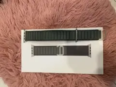 Apple Watch用 Alpine Loop バンド グリーン