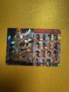 RIZINポテトスティックカード3＋Dickies2