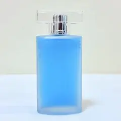 廃盤 ライジングウェーブ ゼロ ギルティ オードパルファム 香水 100ml