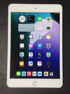 送料無料 iPadmini5 256GB Cellular simフリー 判定〇
