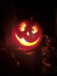 観賞用おもちゃかぼちゃ　ハロウィンおもちゃかぼちゃ本物