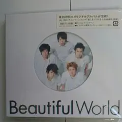 初回プレス仕様 Beautiful World