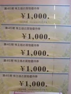 ビックカメラ株主優待券 5000円分