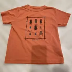 モンベル mont-bell 昆虫デザイン Tシャツ 120