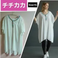 チチカカ【極美品/15号】刺繍チュニック ワンピース レーヨン ホワイト 白のサムネイル