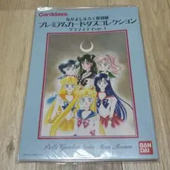 セーラームーン プレミアムカードダスコレクション セーラームーンミュージアム