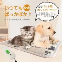 Item thumbnail for item 560da9e8-3d8f-403a-8d92-85b1c69cd4e3