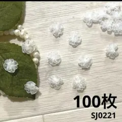 Item thumbnail for item 222d008a-b933-483b-9eb3-75243ddb1603