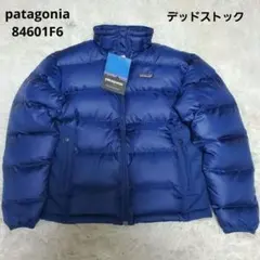 デッドストック　パタゴニア　インサレーショングースダウンジャケット　84601