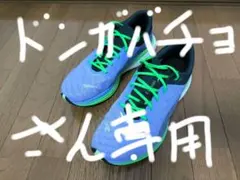 Puma ディヴィエイトニトロ2 27.5cm 紫/緑