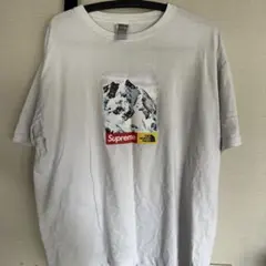 Supreme × The North Face ホワイト Tシャツ XL