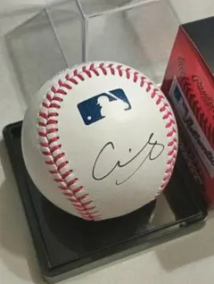 ケース付き、箱付き。大谷翔平選手　直筆サインボール　MLB試合球 ケース付き、箱付き。大谷翔平選手 直筆サインボール MLB試合球 2025年
