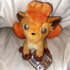 2025年最新】ポケモンフィット ロコンの人気アイテム - メルカリ