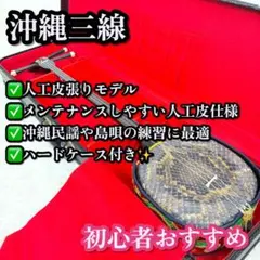 ほぼ未使用級❣️極美品✨沖縄三線 人工皮 唐草ティーガ ケース付き