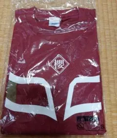 Item thumbnail for item 3f1de0b8-3d9c-428c-812c-6486d63cd779